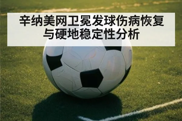 辛纳美网卫冕发球伤病恢复与硬地稳定性分析